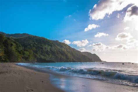 Castara Bay in Tobago stock image. Image of indies, paradise - 103638285