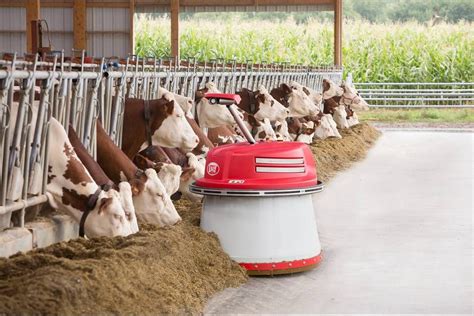 Pin by Am on Eq. Automatic Feeding | Cow feeder, Dairy cows, Cow photos