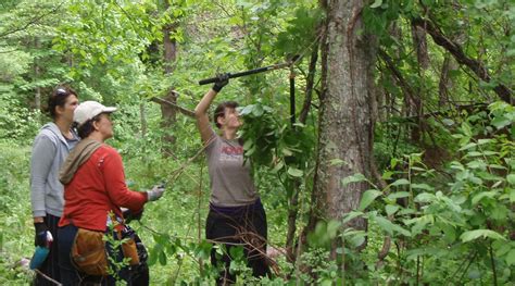 Invasive Species Control: Eco-Stewardship Workdays | Friends of Grand Rapids Parks