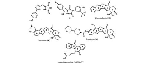 Human topoisomerase I inhibitors and anti-prostate cancer agent, II ...