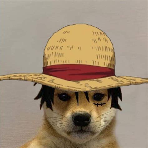 Update 71+ dog with hat meme anime super hot - in.cdgdbentre