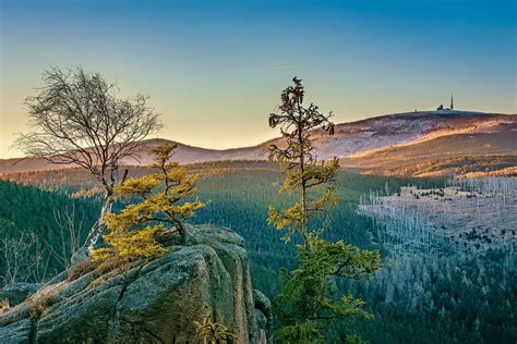 Harz National Park