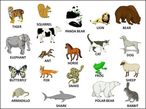 Aula - animais para você aprender inglês | Animais em ingles, Fotos de animais de fazenda, Lista ...