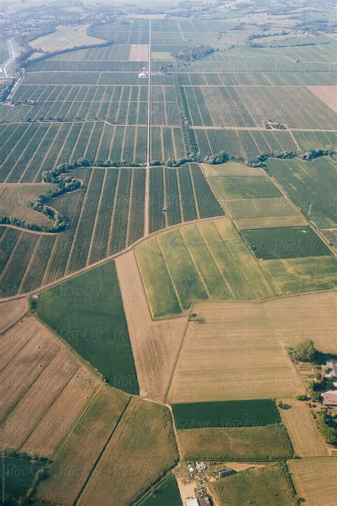 "Aerial View Of A Cultivated Land" by Stocksy Contributor "Mauro Grigollo" - Stocksy