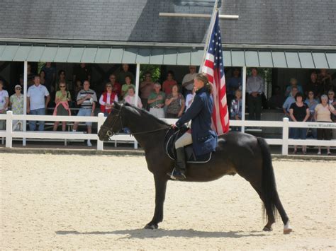 liliandcarl: Lexington Kentucky Horse Park 9/9/10