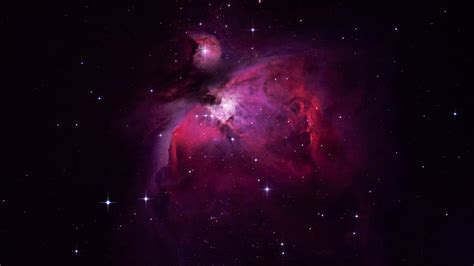 HD wallpaper: purple crab nebula, space, star - space, astronomy, night, galaxy | Wallpaper Flare