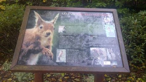 Information of animal - Picture of Center Parcs Whinfell Forest ...