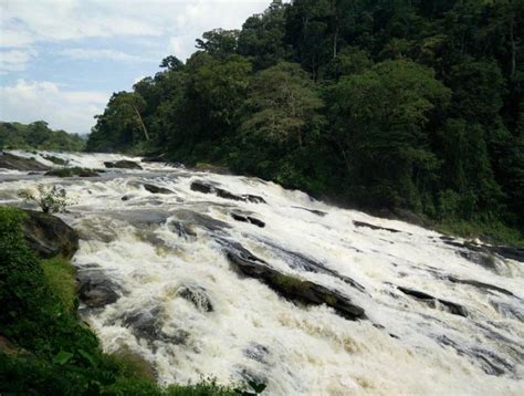 Vazhachal Waterfalls Thrissur, Timings, Entry Fee, Things to do