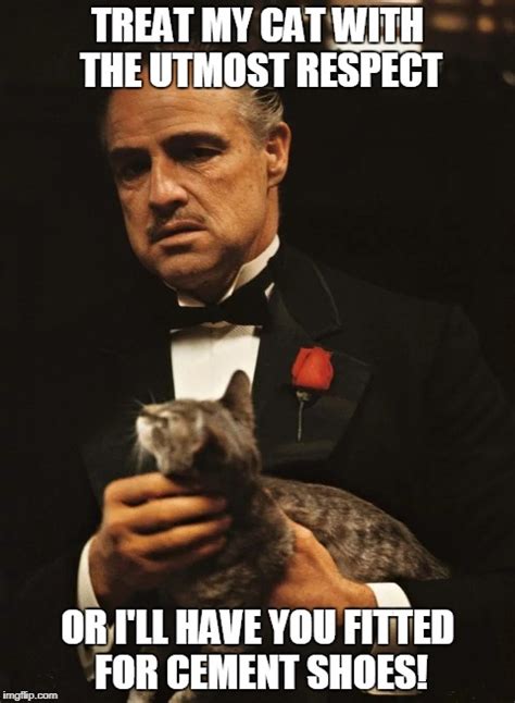 Godfather Meme Respect