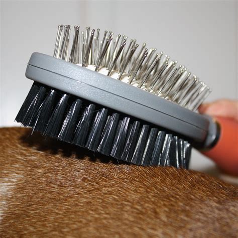 Professional Double Sided Pin & Bristle Brush for Dogs & Cats by GoPets Grooming Comb Cleans ...