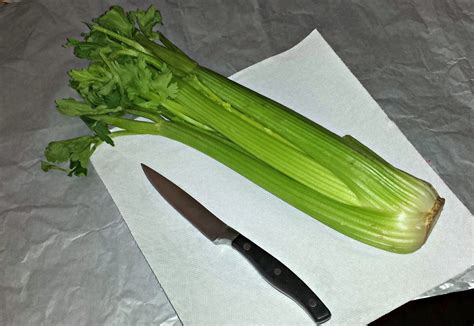 Celery Flower Stamping Craft For Kids - Crafty Morning