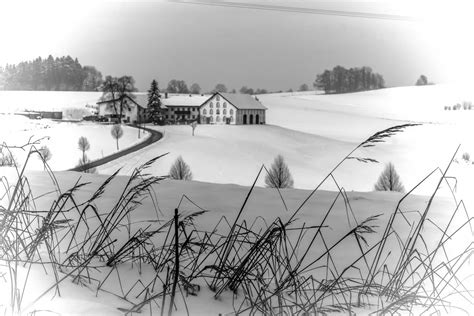 Free Images : landscape, snow, weather, season, ink, sketch, drawing, illustration, blizzard ...