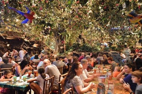 Rainforest Cafe Animal Kingdom Location