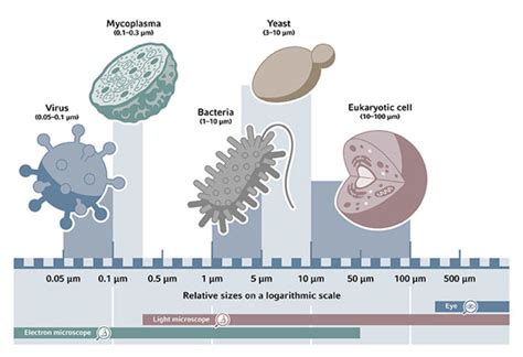 Bacterial Contamination - Eppendorf Handling Solutions