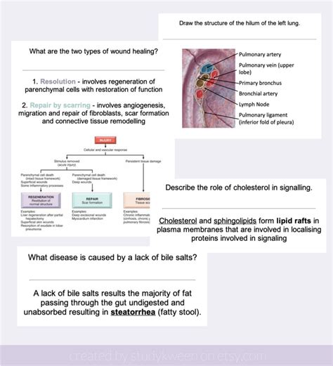 Medicine ANKI flashcards Year 1 MBBS Study Guide | Etsy