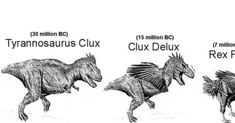 Chicken Evolution | Animalae | Pinterest | Evolution