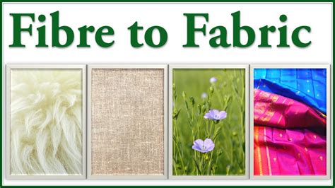 Fibres to Fabrics - Introduction - Fibres to fabrics (class 6) - Fibre ...