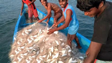 Awesome Sea Fishing - Boys Sort Their Catch of live Fish - YouTube