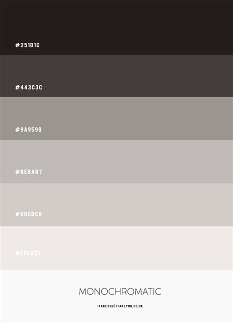 Monochromatic Color Palette