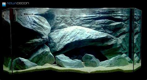 What is the best way to decorate your aquarium? - Aquadecor