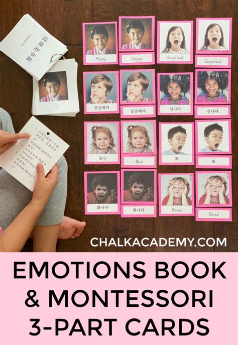 Montessori Emotions 3-Part Cards in English, Chinese, and Korean