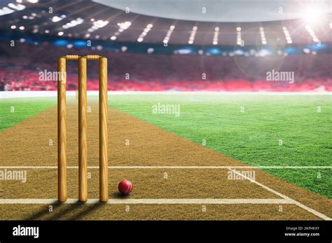 Cricket stadium crowd hi-res stock photography and images - Alamy