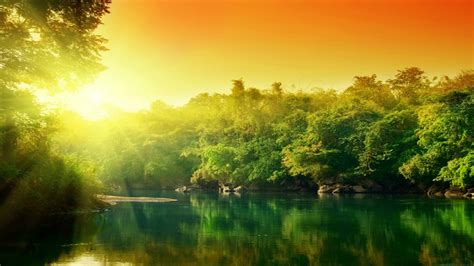 Aa Lush-Green-Forest-River-At-Sunrise-Beautiful-River-Landscape ...