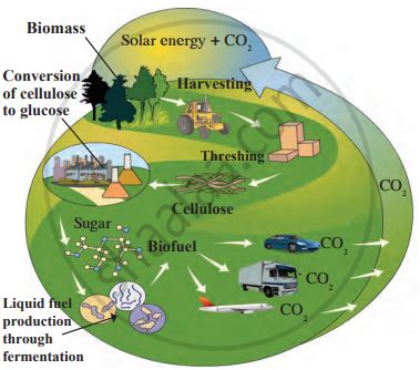 Explain biofuel production with the help of diagram. - Science and ...