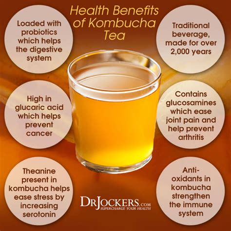 5 Ways Kombucha Improves Your Health - DrJockers.com