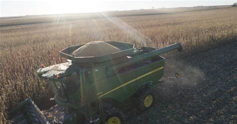 Proper corn harvest timing requires patience and balance