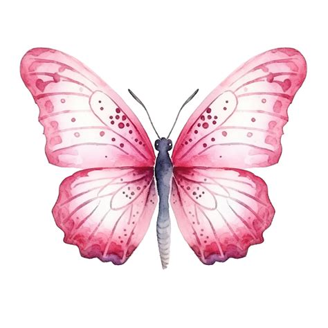 Watercolor Butterfly Background Png 2500x2045px Butte - vrogue.co