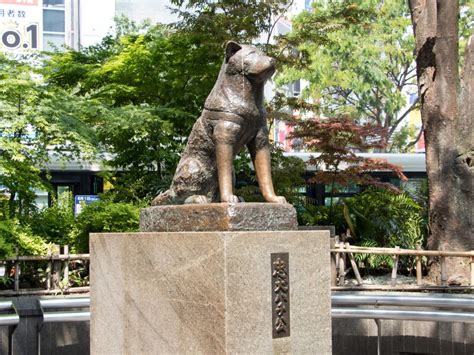 Hachiko Statue - tokyoisours.com