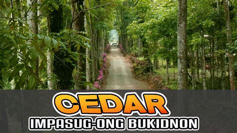 CEDAR | IMPASUG-ONG BUKIDNON - YouTube