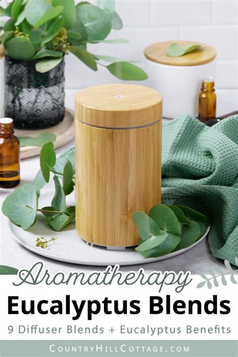 Eucalyptus Diffuser Blends