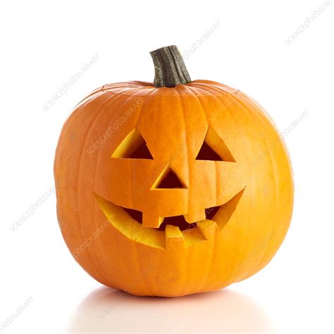 Carved pumpkin - Stock Image - F015/7416 - Science Photo Library