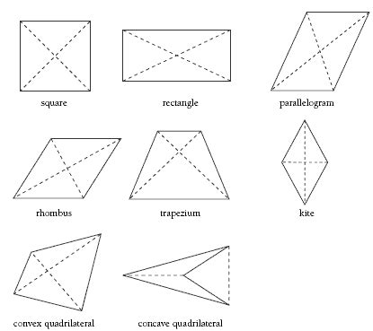 Cornered! | NZ Maths