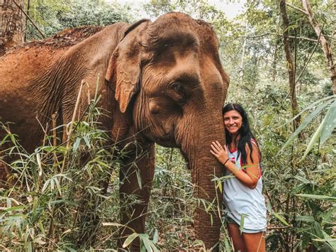 %Visiting Mondulkiri Project Elephant Sanctuary%