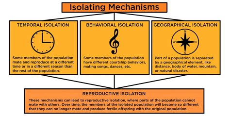 Reproductive Isolation — Definition & Examples - Expii