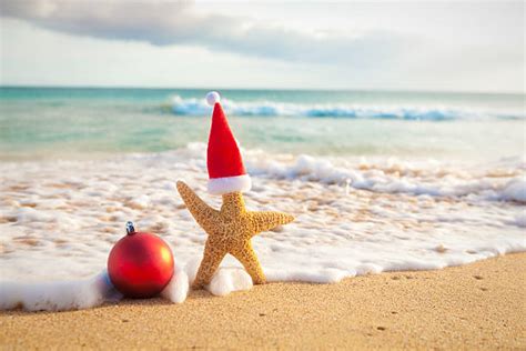 Christmas In Hawaii Pictures, Images and Stock Photos - iStock