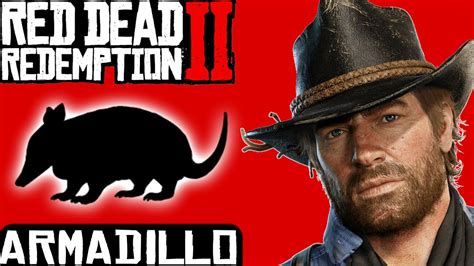 RDR2 | Perfect Armadillo Skin Location - YouTube