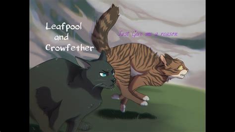 Warrior Cats Leafpool And Crowfeather