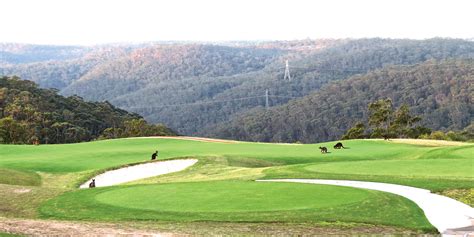 Gordon Public Golf Course, Gordon, NSW - Golf course information and reviews.