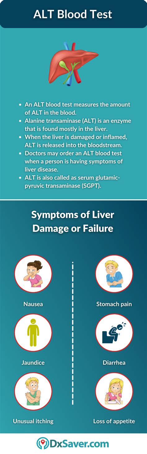 ALT Blood Test – Test Cost, Procedure and Preparation – DxSaver.com