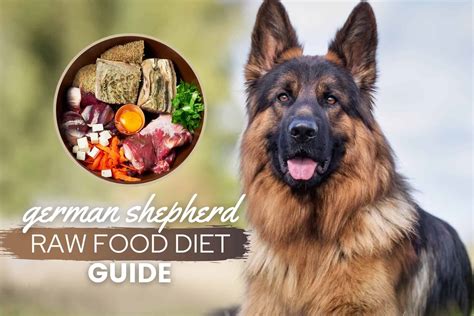 German Shepherd Raw Food Diet Guide: Recipes, Benefits & FAQs - Canine Bible