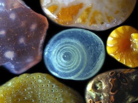 Sand Looks Unbelievably Cool Under a Microscope | Wired Design | Wired ...