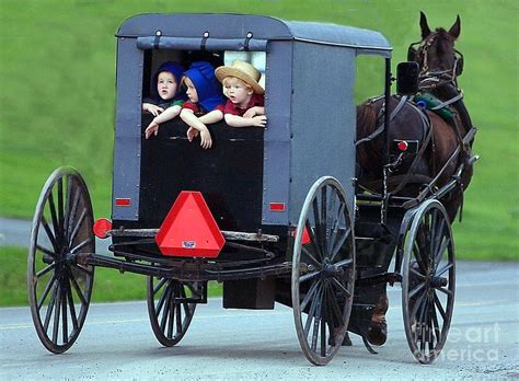 Amish Country Tour Photograph by Randy Matthews