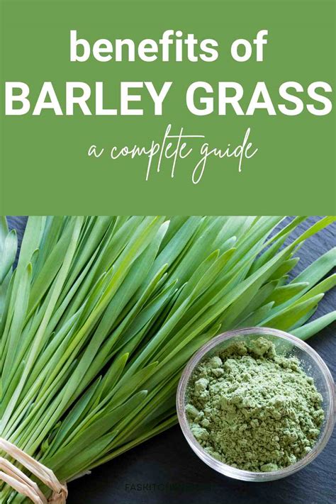 Barley Grass 101: Nutrition, Benefits, How To Use, Buy, Store A Complete Guide - Fas Kitchen