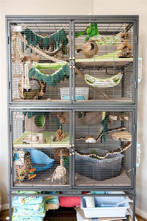 rat cage ideas diy - Gentlemanly Website Picture Gallery