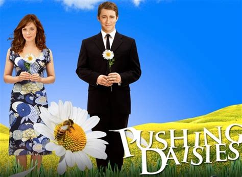 Pushing Daisies Season 1 Episodes List - Next Episode