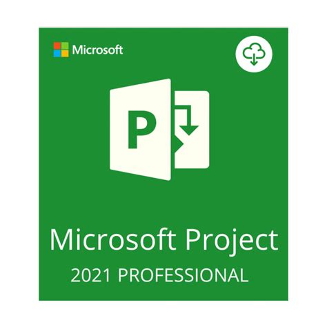 Microsoft Project 2021 Professional - Techsoko